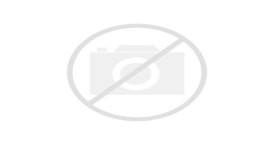 Ізолятор для шин SM з болтом